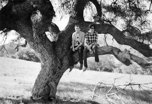 Иллюстрация к книге — Нецензурные заметки Евгения Сивкова о российском консалтинге [i_348.jpg]