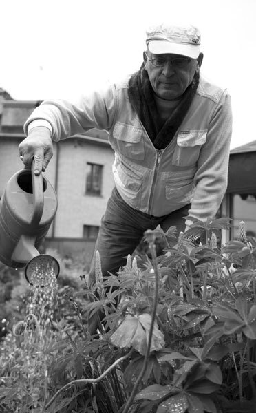 Иллюстрация к книге — Путь к звездам. Когда гороскопы сбываются [i_005.jpg]