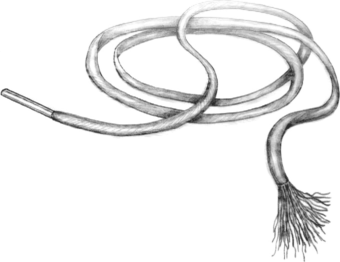 Иллюстрация к книге — Эффект теломер. Революционный подход к более молодой, здоровой и долгой жизни [i_005.jpg]