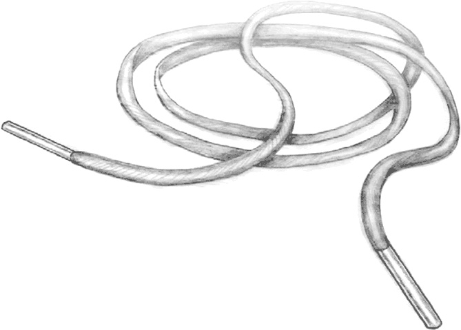 Иллюстрация к книге — Эффект теломер. Революционный подход к более молодой, здоровой и долгой жизни [i_006.jpg]