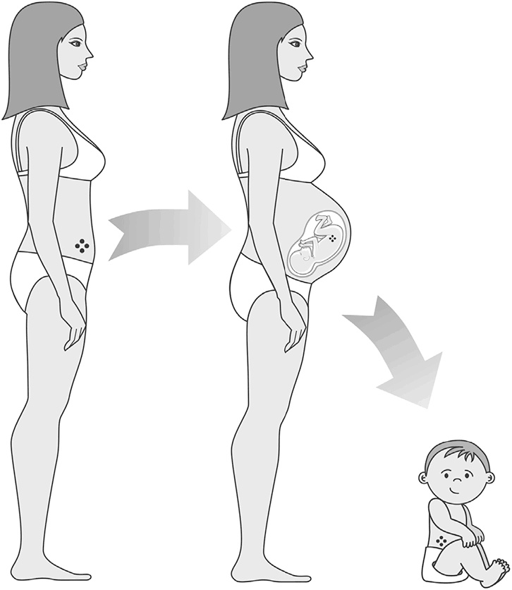 Иллюстрация к книге — Эффект теломер. Революционный подход к более молодой, здоровой и долгой жизни [i_063.jpg]