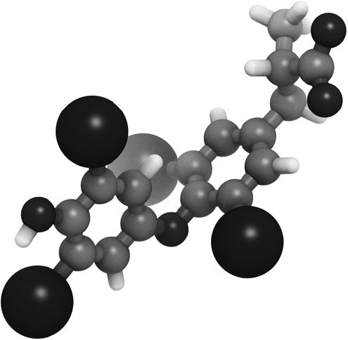 Иллюстрация к книге — Что со мной, доктор? Вся правда о щитовидной железе [_7.jpg]
