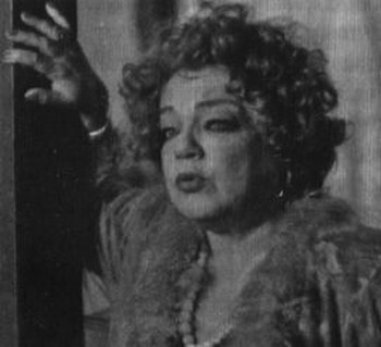 Иллюстрация к книге — Ромен Гари, хамелеон [i_049.jpg]