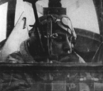 Иллюстрация к книге — Ромен Гари, хамелеон [i_066.jpg]