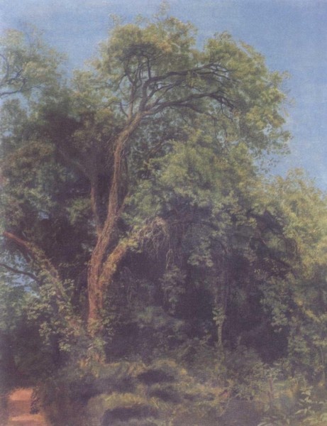 Иллюстрация к книге — Александр Иванов [i_056.jpg]