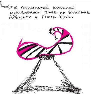 Иллюстрация к книге — Колыбельная по-снайперски [_116.jpg]