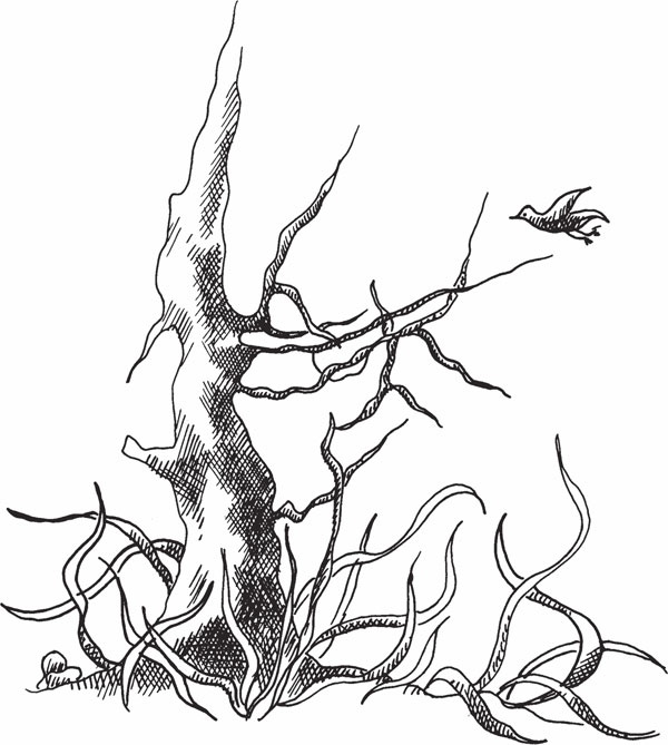 Иллюстрация к книге — Оно того стоило. Моя настоящая и невероятная история. Часть I. Две жизни [_34.jpg]