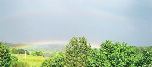 Иллюстрация к книге — Оно того стоило. Моя настоящая и невероятная история. Часть I. Две жизни [_35.jpg]