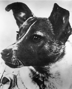 Иллюстрация к книге — Юрий Гагарин. Человек-легенда [i_021.jpg]