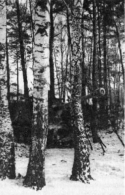 Иллюстрация к книге — Танковые рейды 1941-1945 [i_042.jpg]