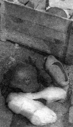 Иллюстрация к книге — Танковые рейды 1941-1945 [i_048.jpg]