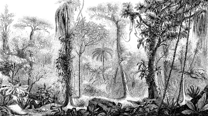 Иллюстрация к книге — Войны прошлого и будущего [i_070.jpg]