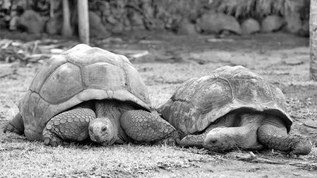 Иллюстрация к книге — Войны прошлого и будущего [i_108.jpg]