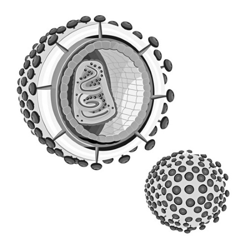 Иллюстрация к книге — Войны прошлого и будущего [i_126.jpg]