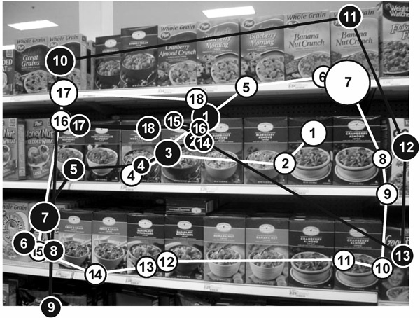 Иллюстрация к книге — Нейромаркетинг в действии. Как проникнуть в мозг покупателя [i_005.jpg]