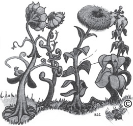 Иллюстрация к книге — Нейромаркетинг в действии. Как проникнуть в мозг покупателя [i_010.jpg]