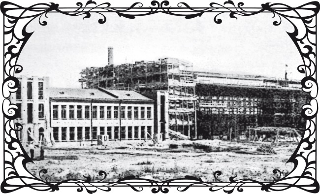 Иллюстрация к книге — Букет из Оперного театра [i_001.jpg]