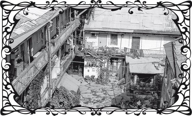 Иллюстрация к книге — Букет из Оперного театра [img6929.jpg]