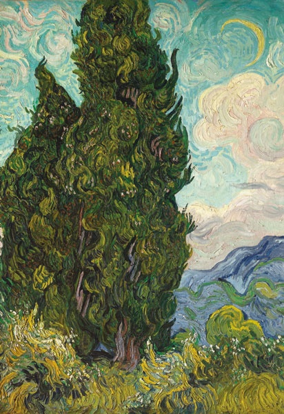 Иллюстрация к книге — Мария Башкирцева. Дневник [i_002.jpg]