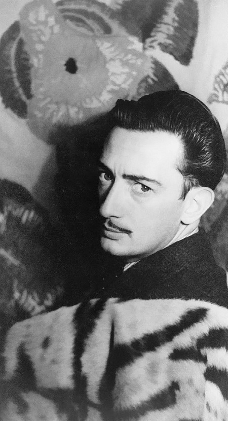 Иллюстрация к книге — Мой муж - Сальвадор Дали [i_033.jpg]