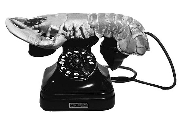 Иллюстрация к книге — Мой муж - Сальвадор Дали [i_051.jpg]