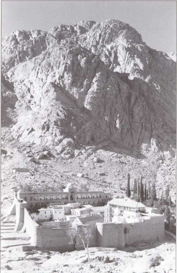 Иллюстрация к книге — Русский Египет [i_022.jpg]