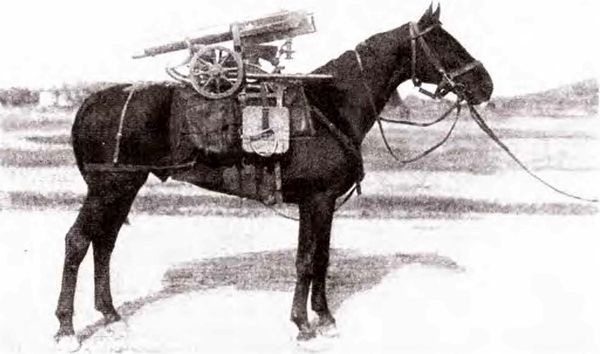 Иллюстрация к книге — Штурм Карпат. Зима 1915 года [i_035.jpg]