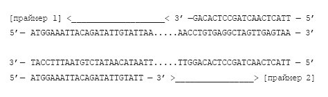 Иллюстрация к книге — Сумма биотехнологии. Руководство по борьбе с мифами о генетической модификации растений, животных и людей [i_019.jpg]