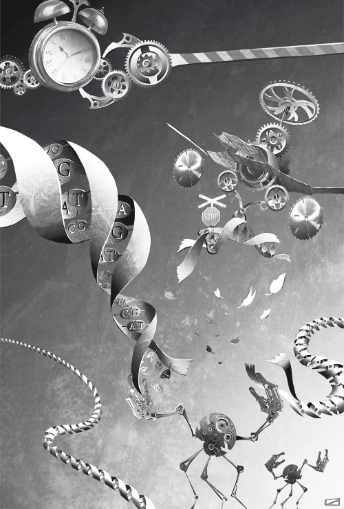 Иллюстрация к книге — Сумма биотехнологии. Руководство по борьбе с мифами о генетической модификации растений, животных и людей [i_028.jpg]