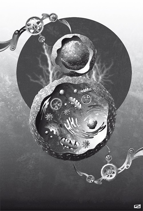 Иллюстрация к книге — Сумма биотехнологии. Руководство по борьбе с мифами о генетической модификации растений, животных и людей [i_043.jpg]