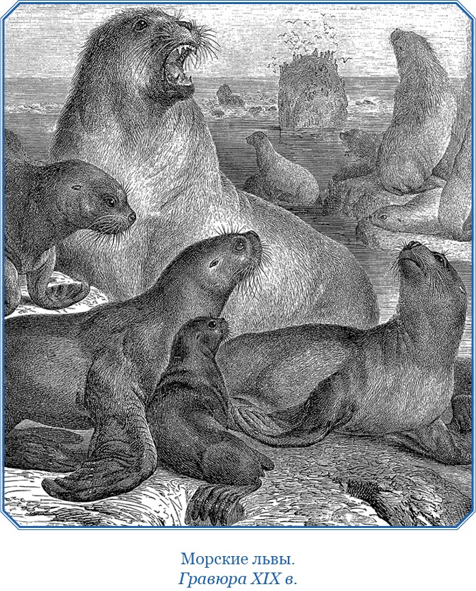 Иллюстрация к книге — Камчатские экспедиции [i_077.jpg]