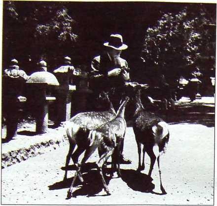 Иллюстрация к книге — Николай Рерих. Запечатлевший тайну [image16.jpg]