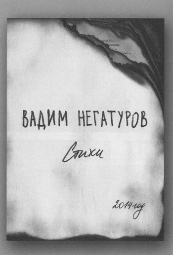 Иллюстрация к книге — Вадим Негатуров [i_025.jpg]