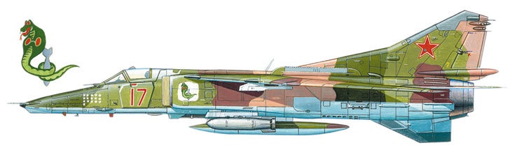 Иллюстрация к книге — Камуфляж и бортовые эмблемы авиатехники советских ВВС в афганской кампании [i_159.jpg]