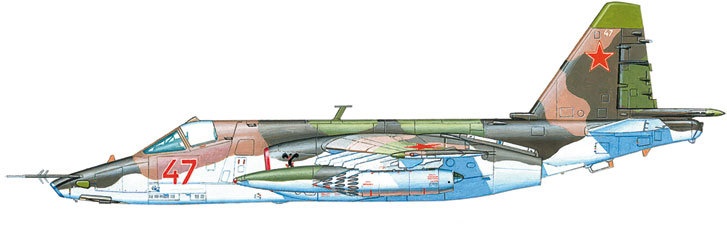 Иллюстрация к книге — Камуфляж и бортовые эмблемы авиатехники советских ВВС в афганской кампании [i_184.jpg]