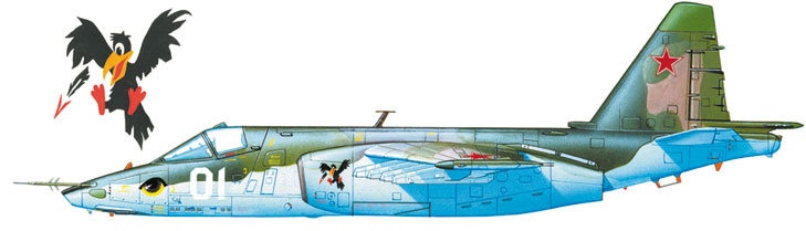 Иллюстрация к книге — Камуфляж и бортовые эмблемы авиатехники советских ВВС в афганской кампании [i_200.jpg]