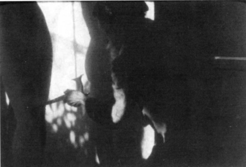 Иллюстрация к книге — Художники во Франции во время оккупации. Ван Донген, Пикассо, Утрилло, Майоль, Вламинк... [_27.jpg]