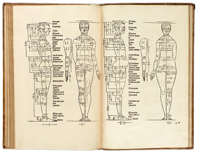 Иллюстрация к книге — Дюрер [i_013.jpg]