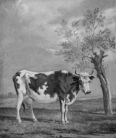 Иллюстрация к книге — Князь Николай Борисович Юсупов. Вельможа, дипломат, коллекционер [_50.jpg]