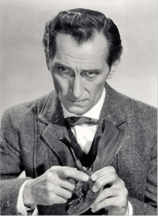 Иллюстрация к книге — Шерлок Холмс. Человек, который никогда не жил и поэтому никогда не умрет [i_195.jpg]