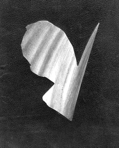 Иллюстрация к книге — Сент-Экзюпери, каким я его знал... [_29.jpg]