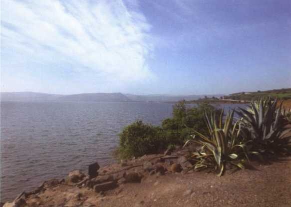 Иллюстрация к книге — Андрей Первозванный [i_006.jpg]