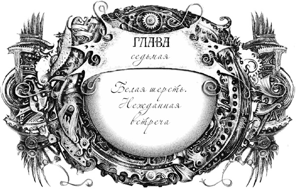 Иллюстрация к книге — Техноведьма. Мастер дверей [i_013.jpg]