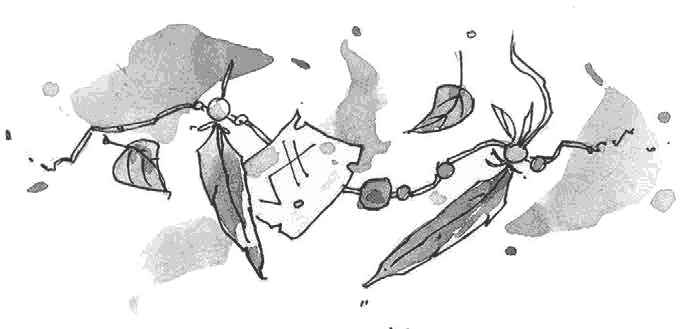 Иллюстрация к книге — Витчхантеры. Книга 3. Инкарнация Вики [i_023.jpg]