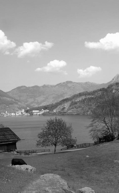 Иллюстрация к книге — Пальто с хлястиком [i_008.jpg]