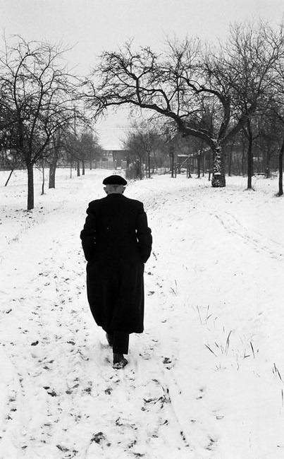 Иллюстрация к книге — Пальто с хлястиком [i_047.jpg]