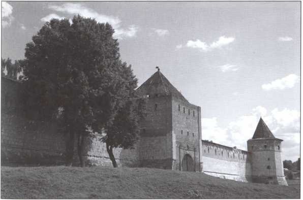 Иллюстрация к книге — Пожарский [i_013.jpg]