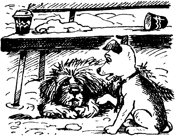 Иллюстрация к книге — Пончик идет по следу [i_009.jpg]