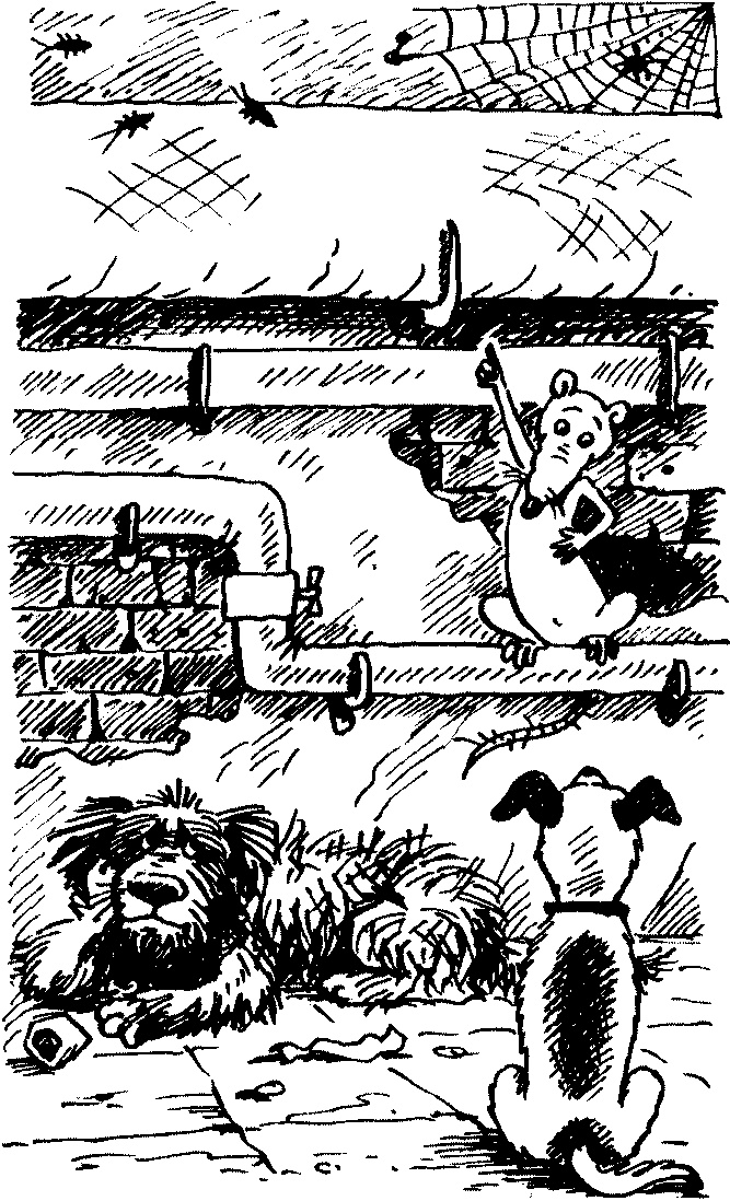 Иллюстрация к книге — Пончик идет по следу [i_013.jpg]