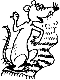 Иллюстрация к книге — Пончик идет по следу [i_015.jpg]